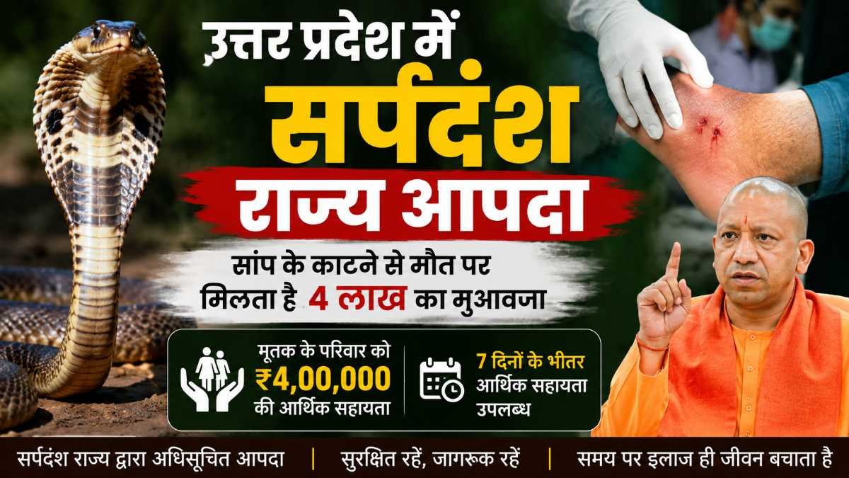 Uttar Pradesh Snake Bite State Disaster Compensation,Snake bite awareness and compensation in Uttar Pradesh,