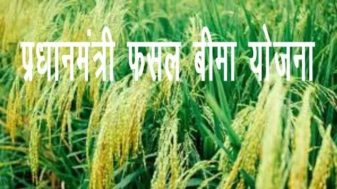 प्रधानमंत्री फसल बीमा योजना,